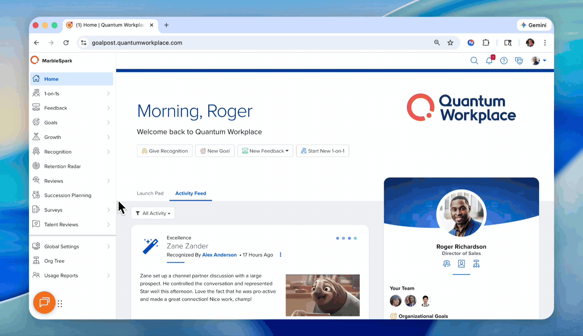 [Survey Analytics] Where to Find Access Roles GIF