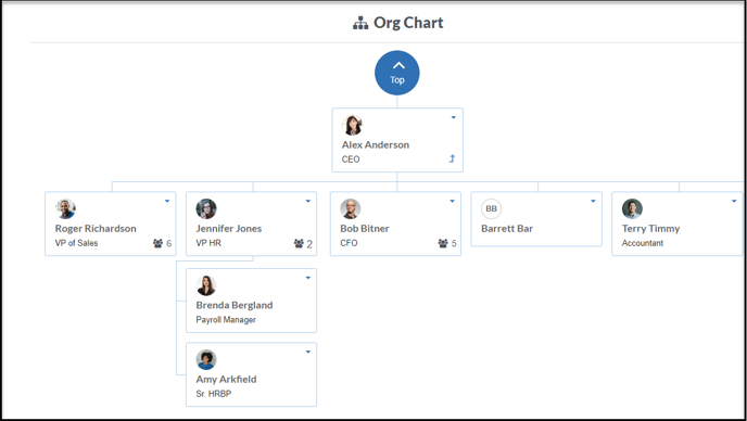 Org Chart 2