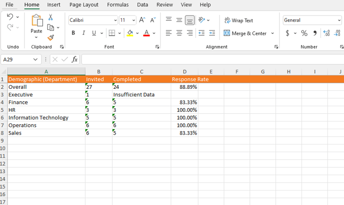 RR Report Excel